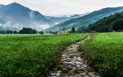 Pathfinding: Walking and Motherhood