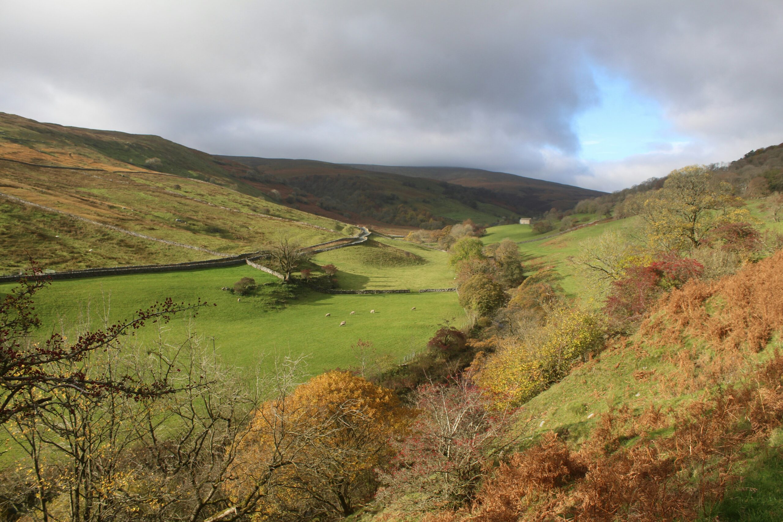 Photo of Wharfedale by Nicola Terry on Unsplash