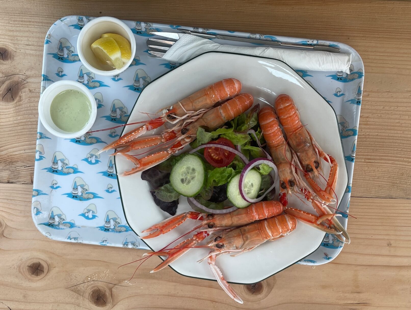 IMG_2481 Summaya trip